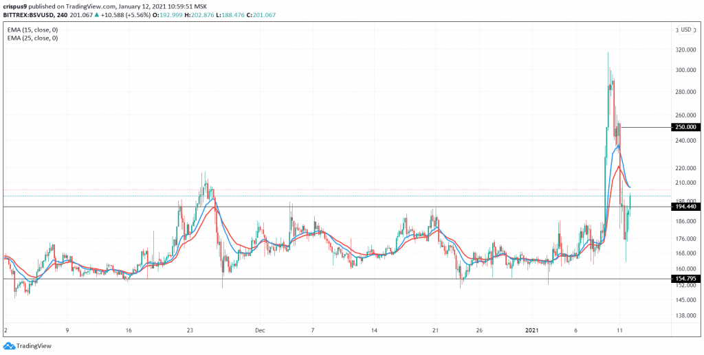 Bitcoin SV price