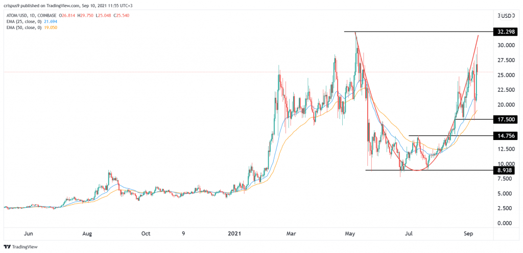 cosmos price