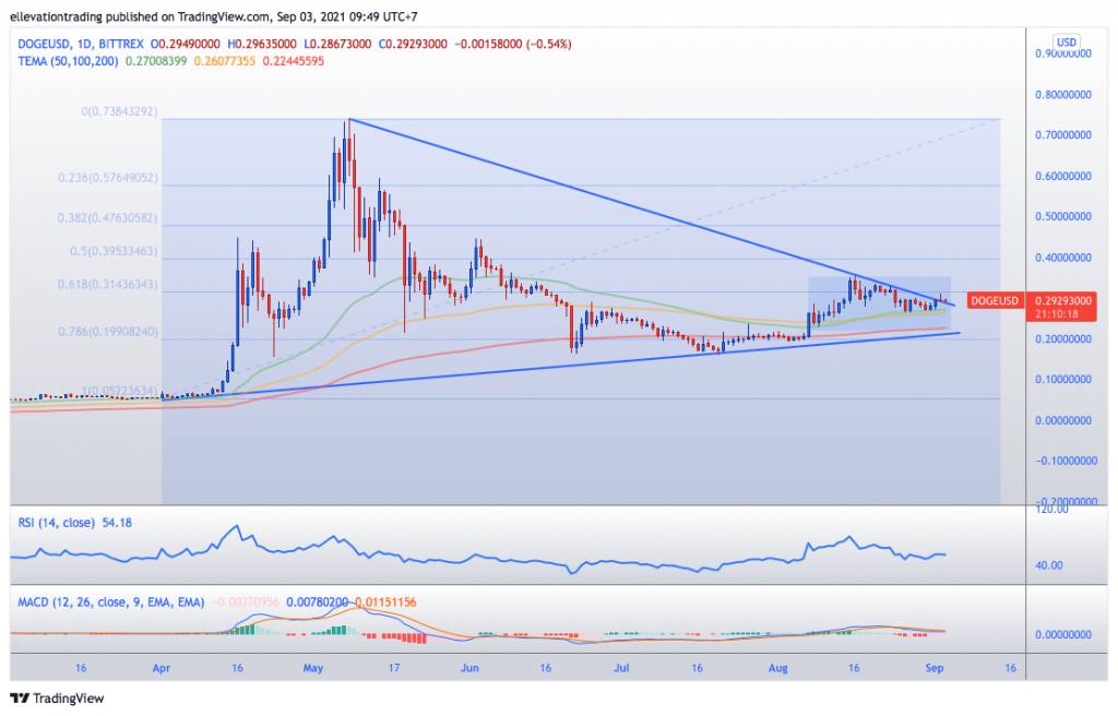 Dogecoin price