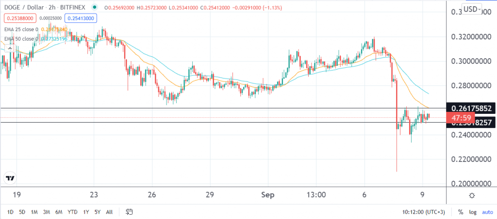 Dogecoin price