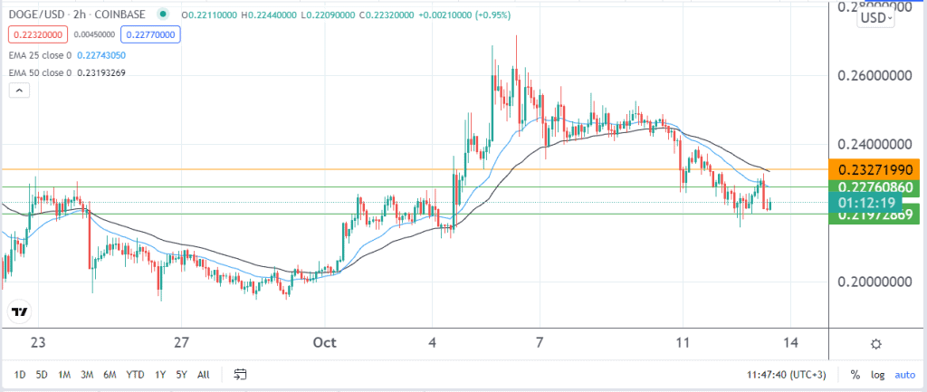 Dogecoin price