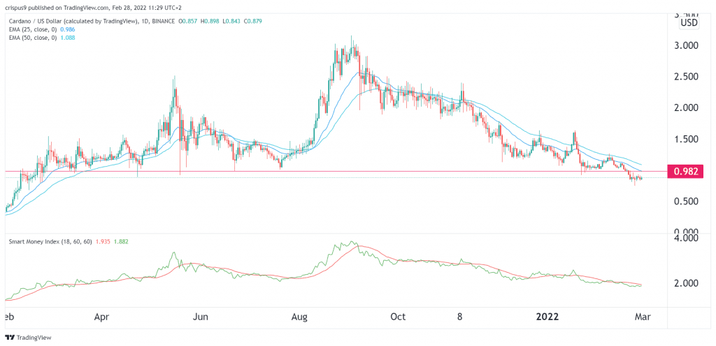 cardano price