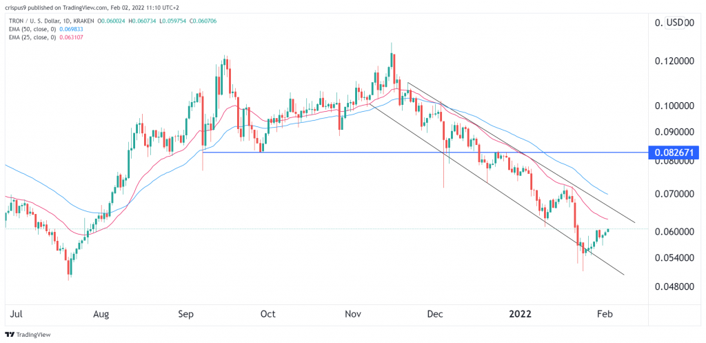 TRON PRICE 2022 PREDICTION