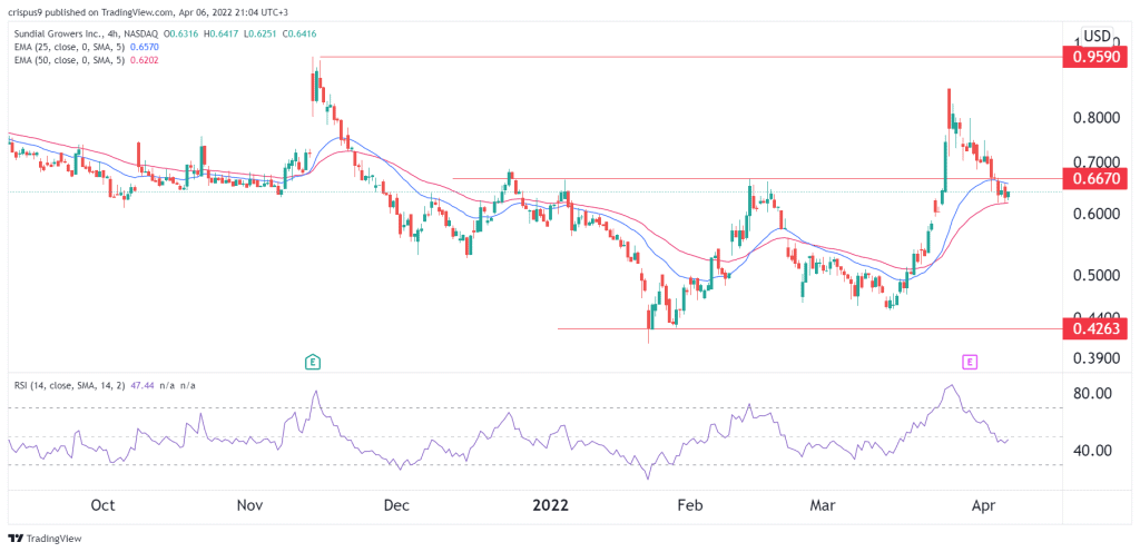 SNDL Stock