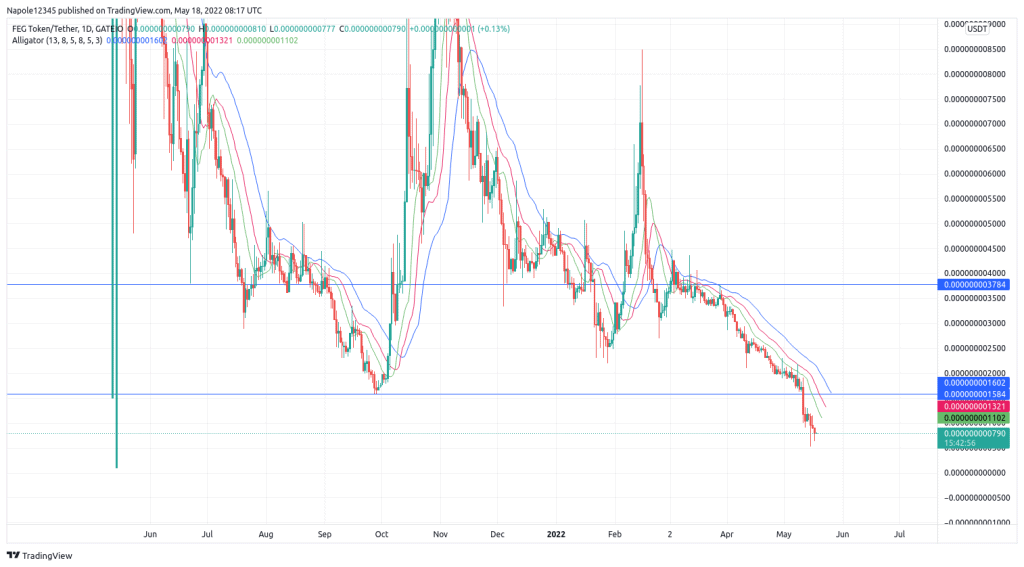 Feg coin price prediction