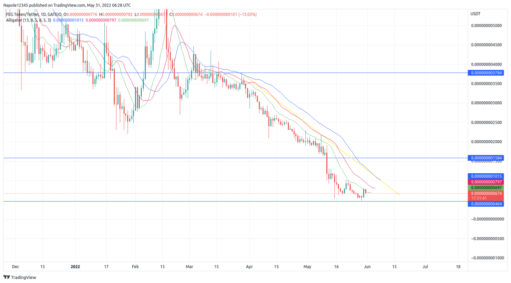 Feg Coin price