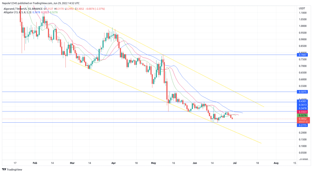 Algorand price prediction