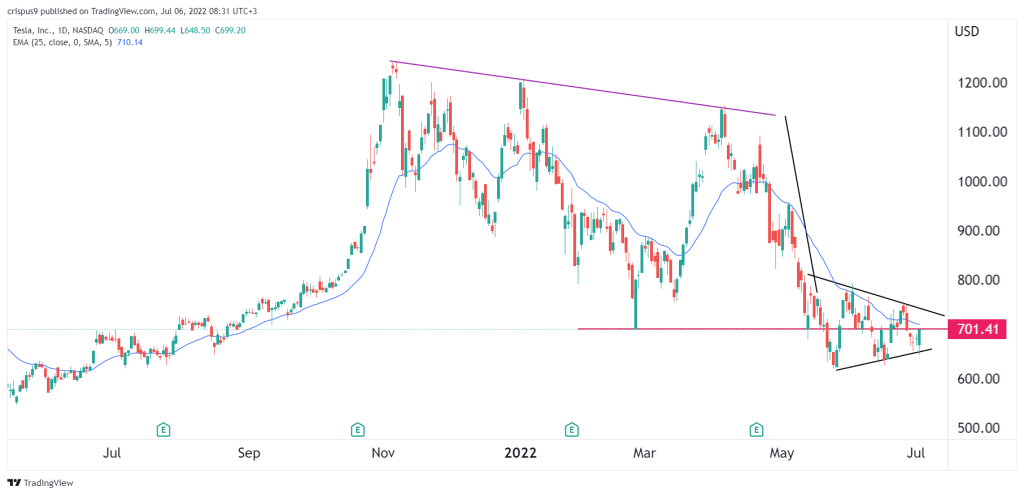 Tesla share price