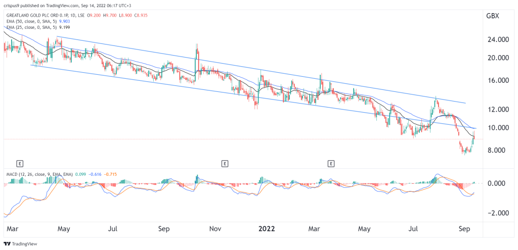 Greatland Gold Share Price