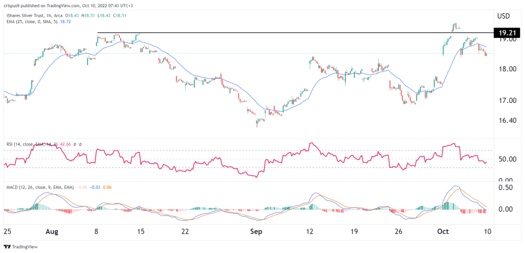 slv stock