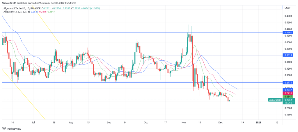 Algorand price prediction