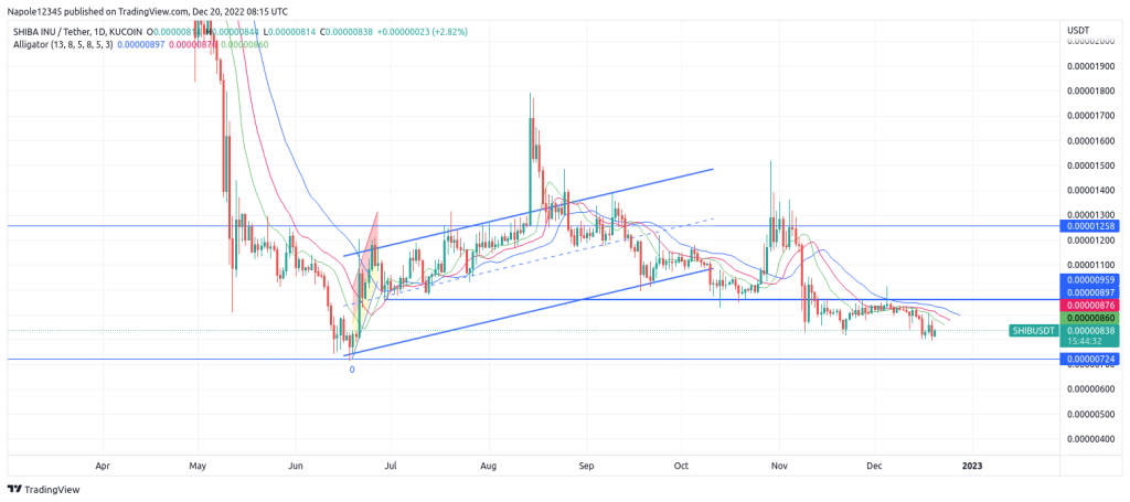 Shiba Inu price prediction