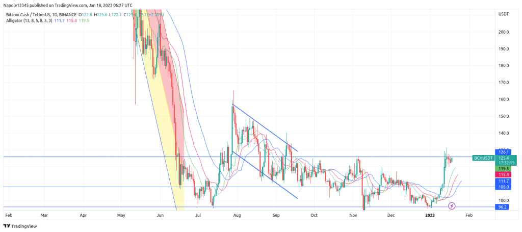 Bitcoin Cash forecast