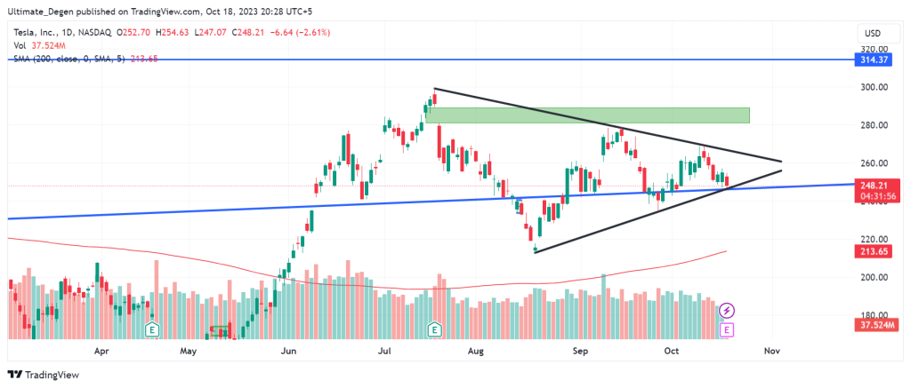 Daily chart of Tesla stock price 