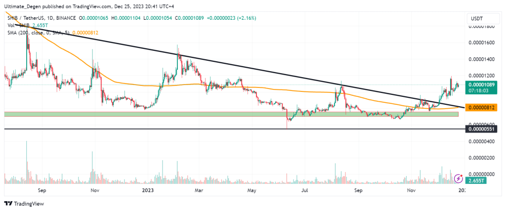 Analysis of Shiba Inu coin price chart